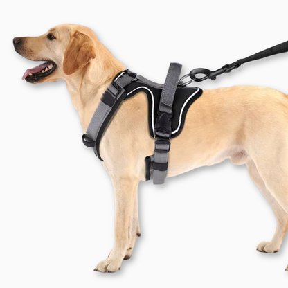 Justerbar Hundsele – Reflekterande & Ergonomisk