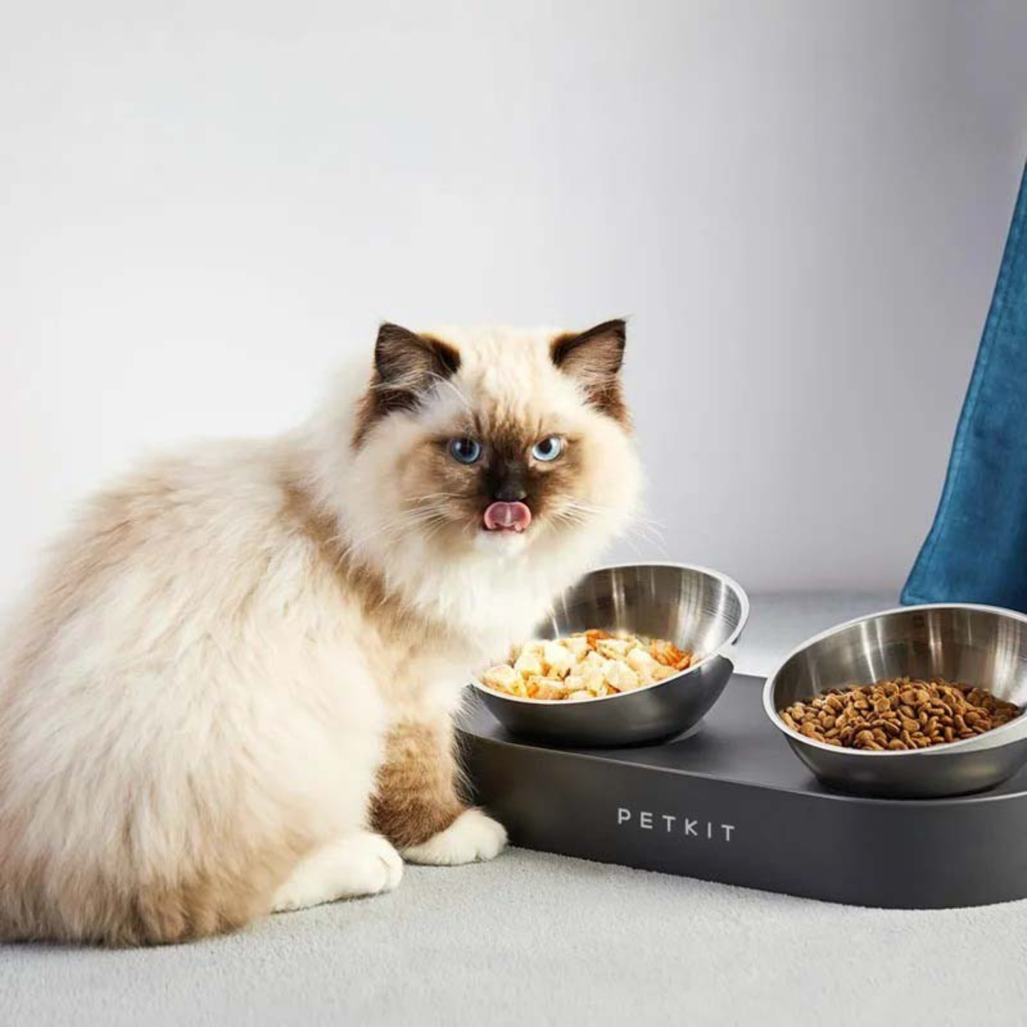 Rostfri Dubbel Matskål för hund & katt