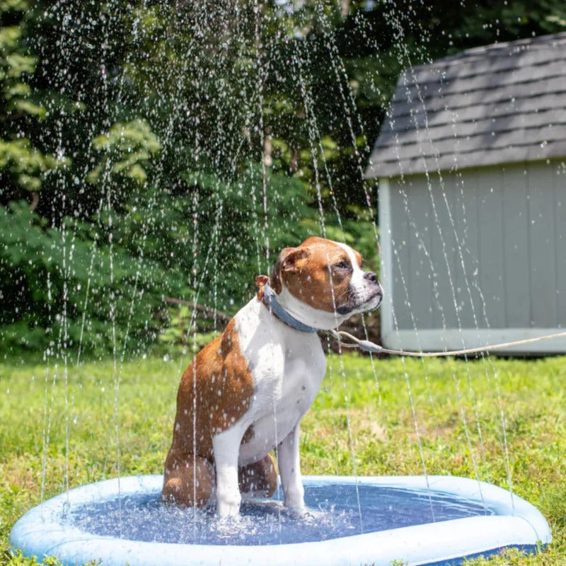 Uppblåsbar vattenmatta för hund – svalkande splash pad för lek