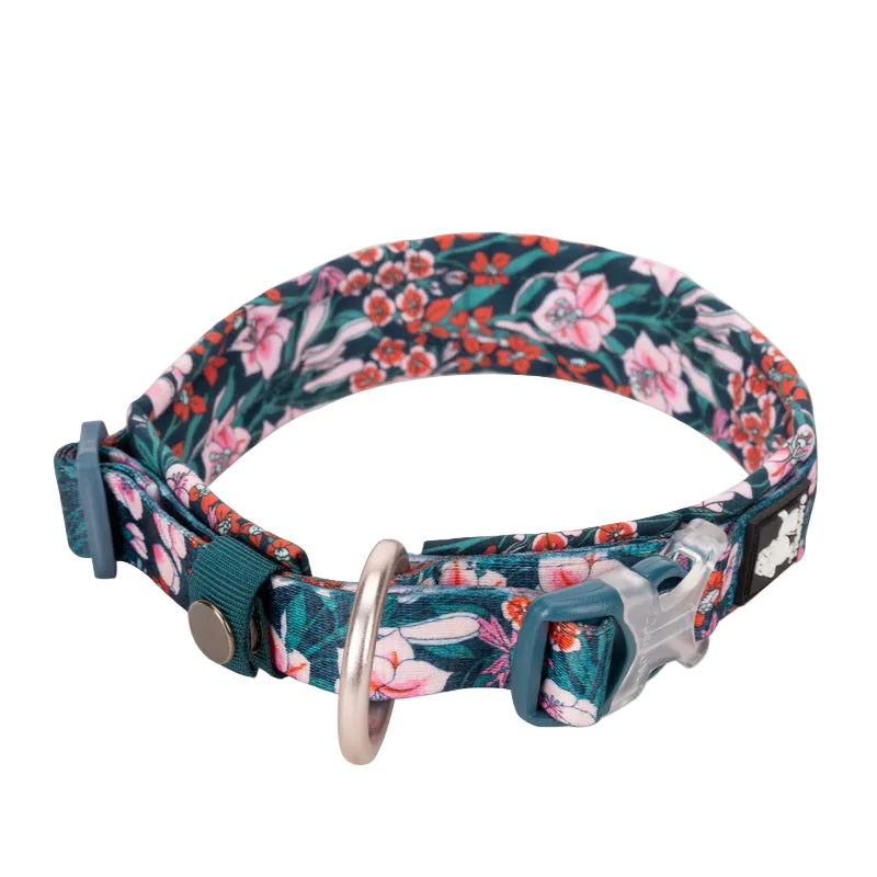 Blommigt reflekterande hundhalsband - säkert och stilrent
