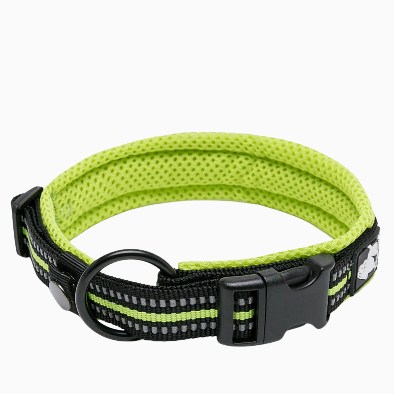 Gult reflekterande hundhalsband - hög synlighet och slitstarkt