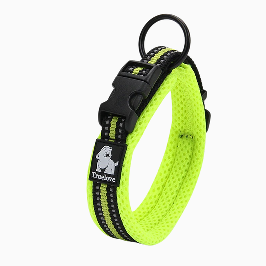 Gult reflekterande hundhalsband - hög synlighet och slitstarkt