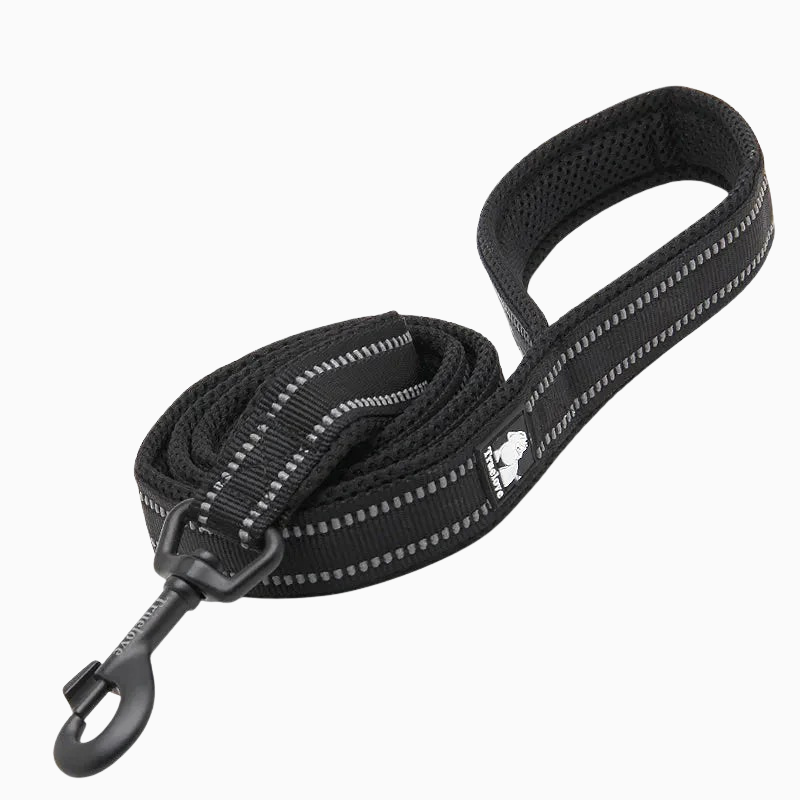 Svart reflekterande hundkoppel - säkert och bekvämt