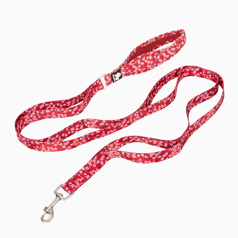 Blommigt hundkoppel - med extra handtag