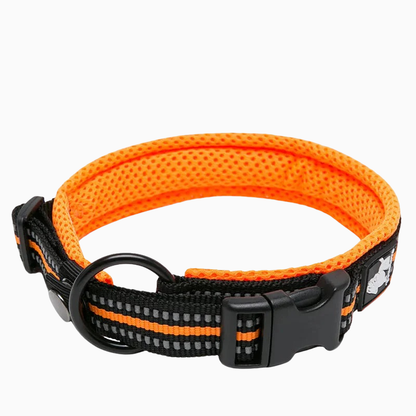 Orange reflekterande hundhalsband - hög synlighet och säkerhet