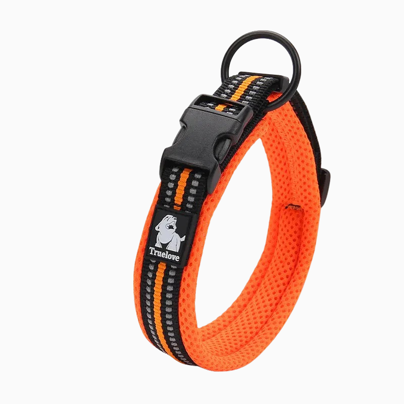 Orange reflekterande hundhalsband - hög synlighet och säkerhet