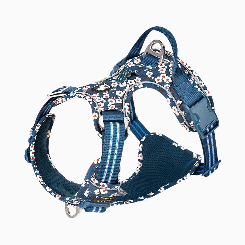 Blå blommig hundsele - stilren och bekväm