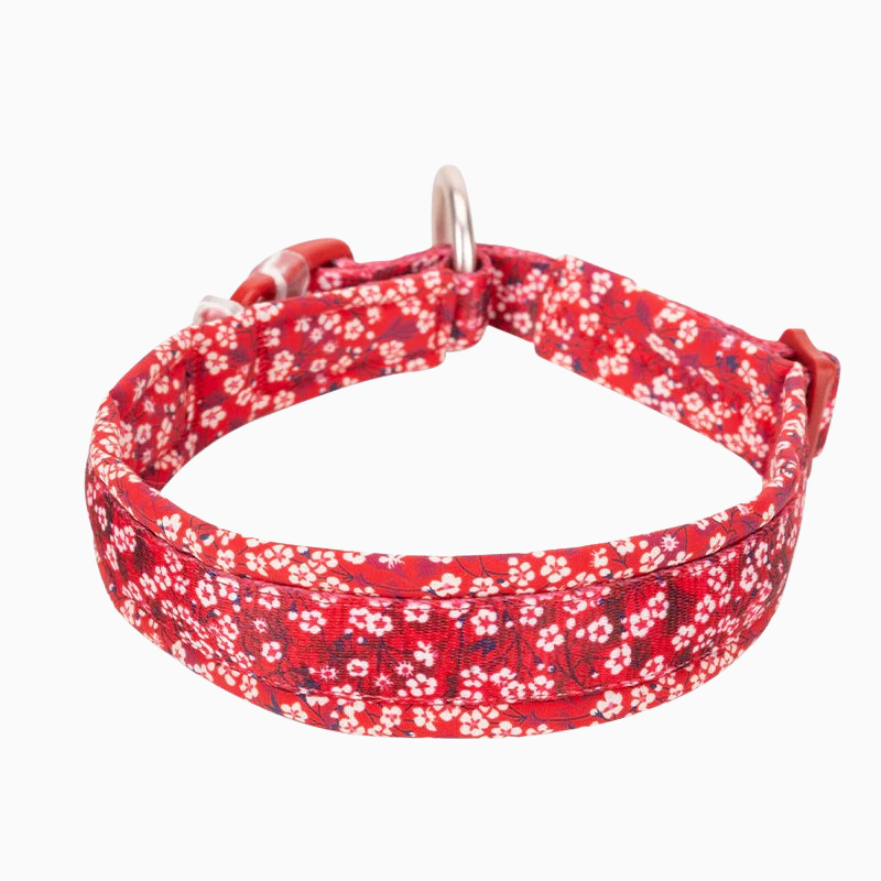 Rött blommigt hundhalsband - bekvämt och slitstarkt