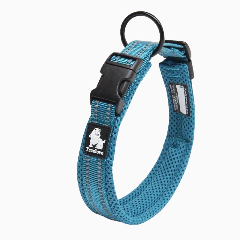 Blått reflekterande hundhalsband - säkert och slitstarkt