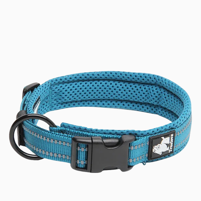 Blått reflekterande hundhalsband - säkert och slitstarkt