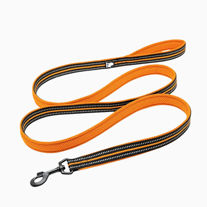 Orange reflekterande hundkoppel - säkert och bekvämt