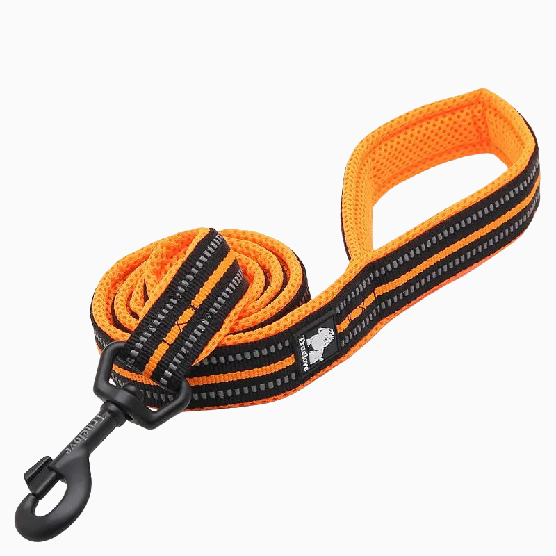 Orange reflekterande hundkoppel - säkert och bekvämt