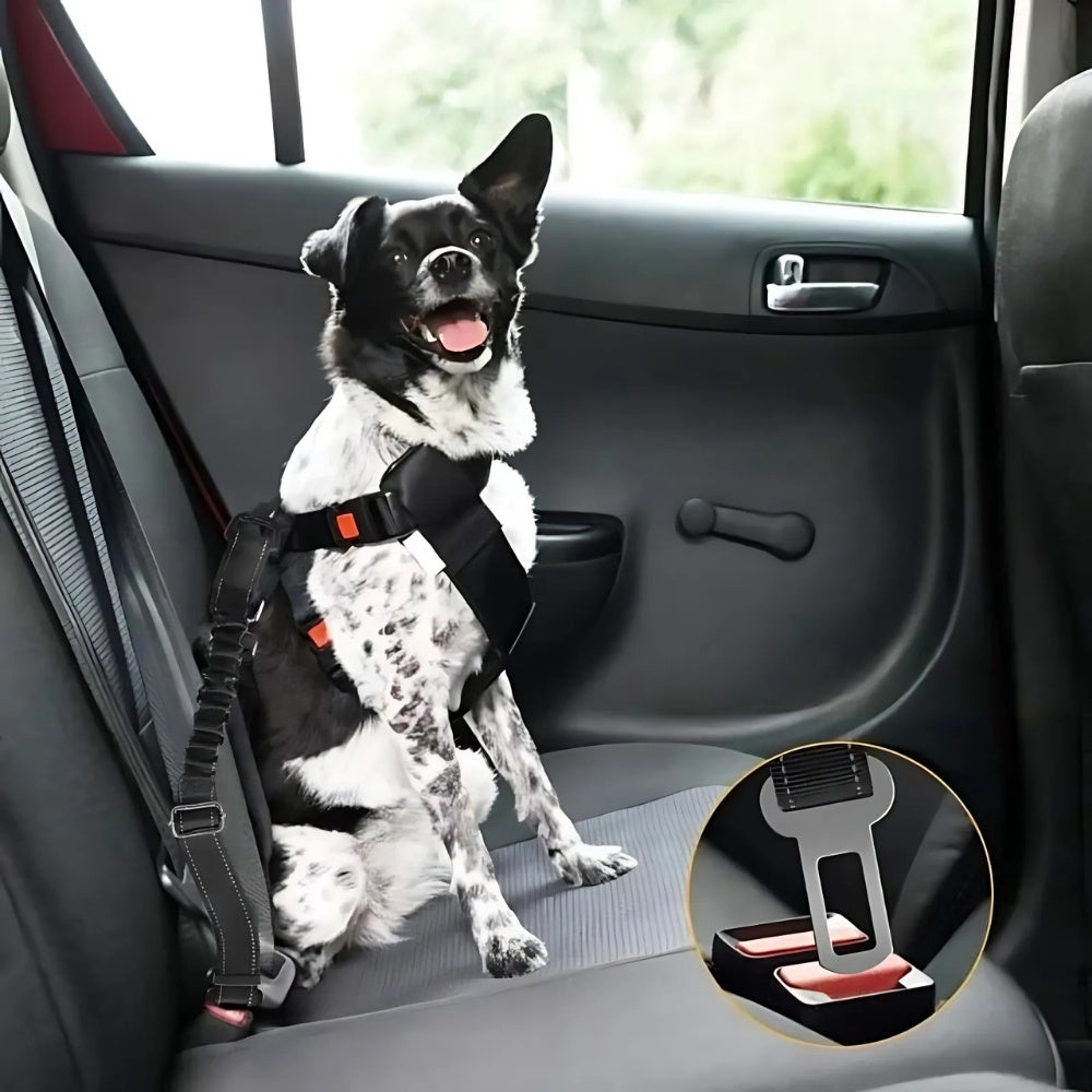 Bilsele för Hund 3-i-1