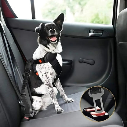 Bilsele för Hund 3-i-1
