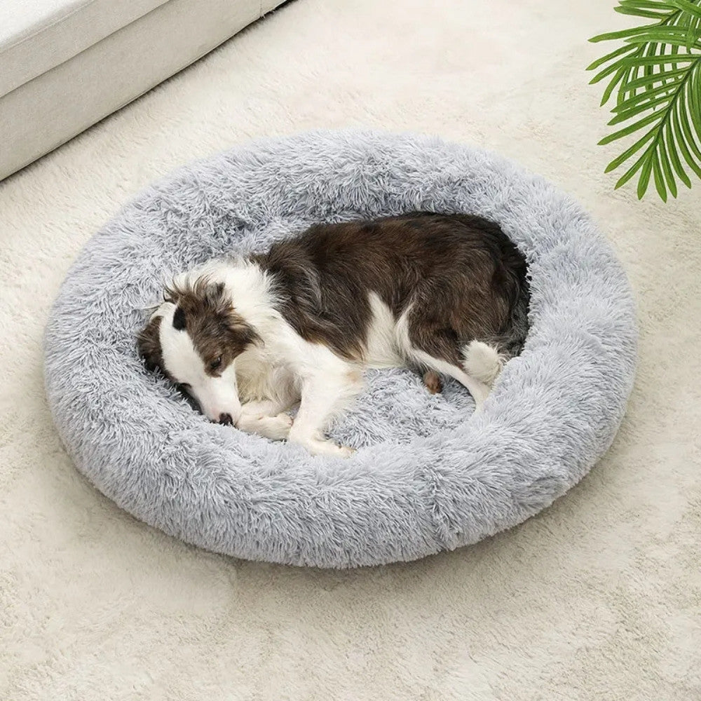 Rund antistressbädd för Hund & Katt