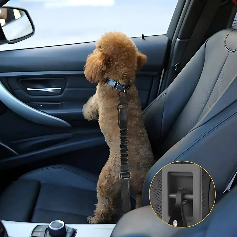 Bilsele för Hund 3-i-1