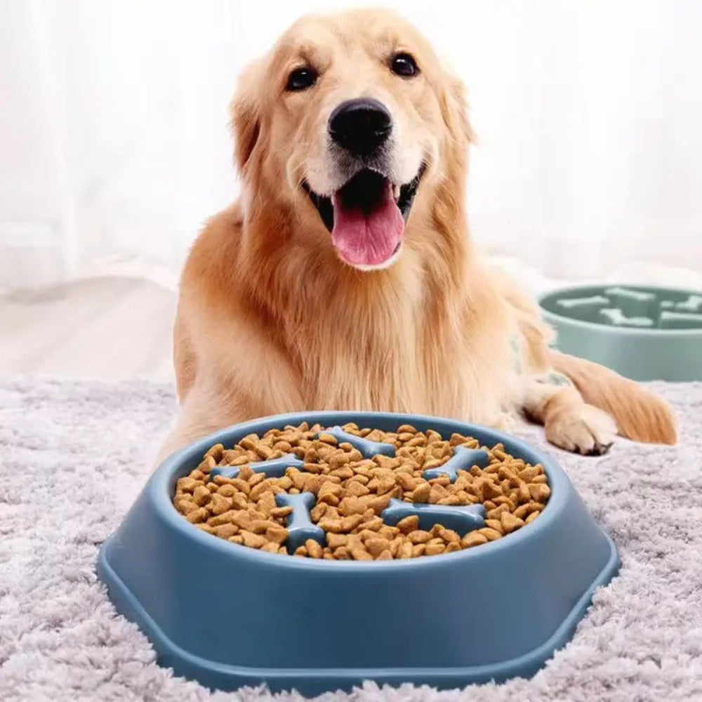 Slow Feeder Matskål för Hund
