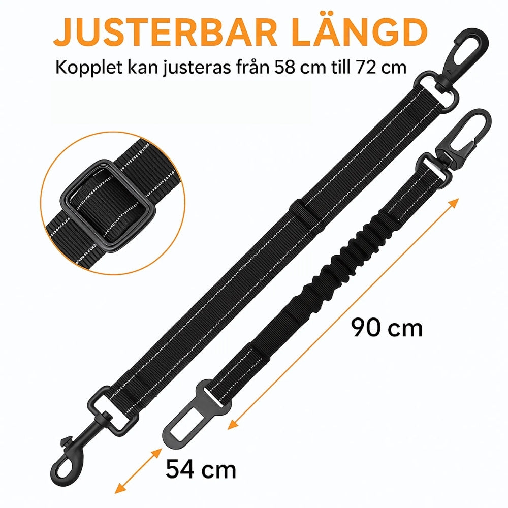 Bilsele för Hund 3-i-1