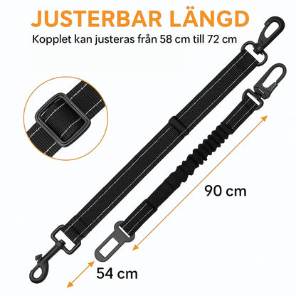 Bilsele för Hund 3-i-1